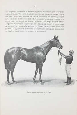 [Де-Витт Л.В., автограф]. Де-Витт Л.В. Конница. [В 2 ч.]. Ч. 2. Теория верховой езды. СПб., 1907.